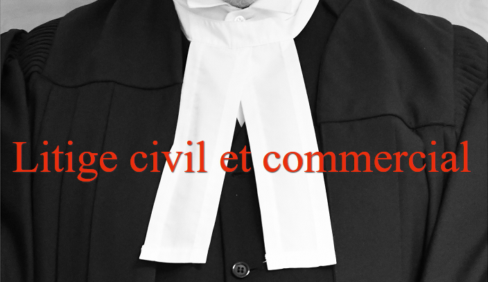Litige civil et commercial